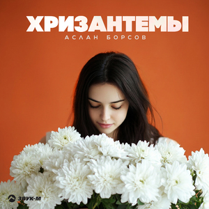 Хризантемы