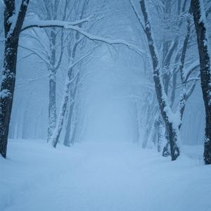 星辰璀璨映海岸