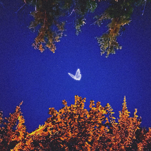 обезболы (Speed up)