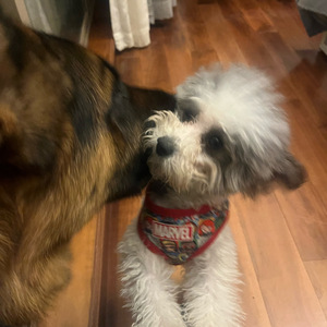 会有另一个人陪你