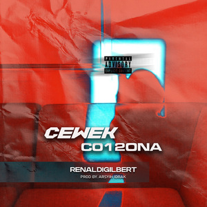 CEWEK CO12ONA