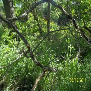 hop off (feat. prodby668)