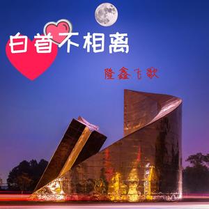 长路漫漫陪你走（对唱版）（翻自 王建荣）