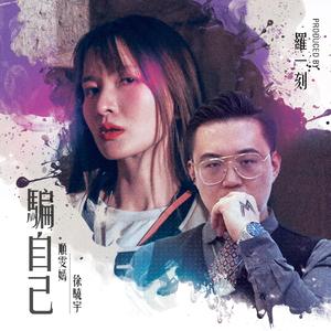 顺雯嫣-是骗自己的（remix）（顺雯嫣 remix）