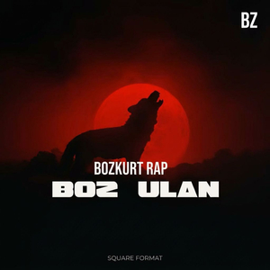 Bozkurt