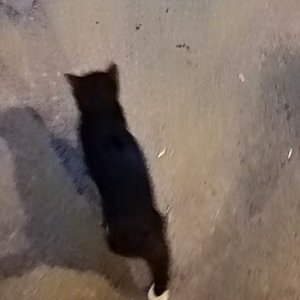 圈圈