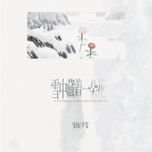 雪中藏着一朵花