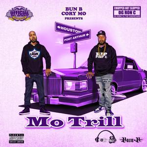 Mo Trill (feat. Jazze Pha, Slim Thug & Lil' Keke) (Chop Not Slop Remix)
