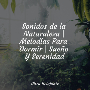 Autodescubrimiento