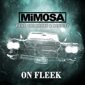 On Fleek (feat. Too Short & Rej3ctz)