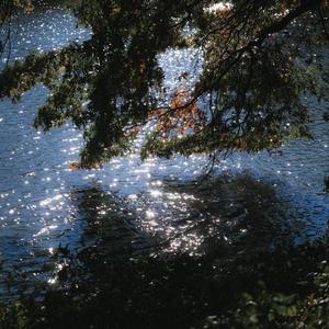 Dream of Light Leakage（漏光的梦）