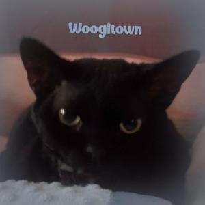Woogitown