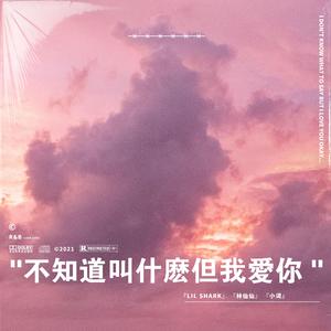 不知道叫什么但我爱你啊