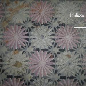HaliBor