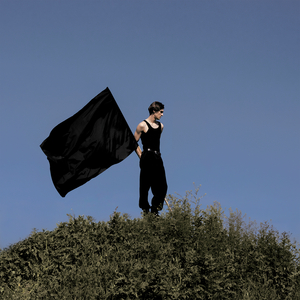 Однозначный флоп