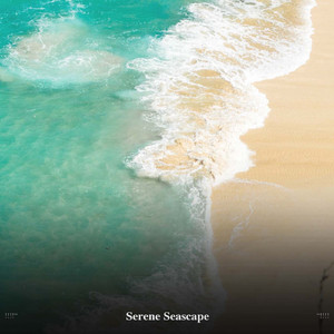 Solitude of the Seashore