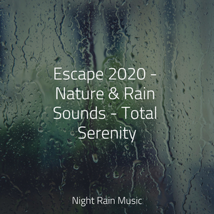 Rain in Window