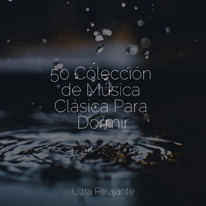 Creatividad