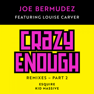 Crazy Enough (eSQUIRE Remix Instrumental)