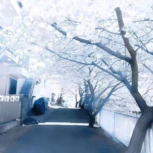 ‘Sakur4’(EMO RAP BEAT)