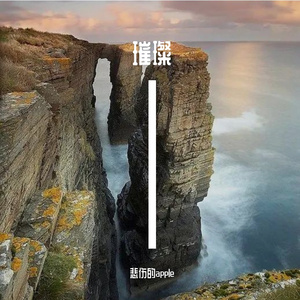 养生去年的养生海棠