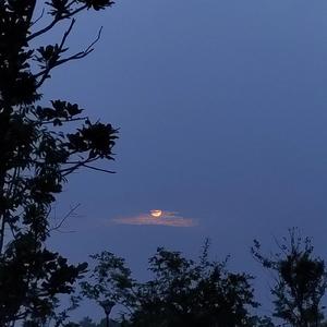 可爱冬-关键词（人见人爱的董小姐 remix）