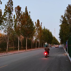 彼岸（电视剧苍兰诀呻吟片段）