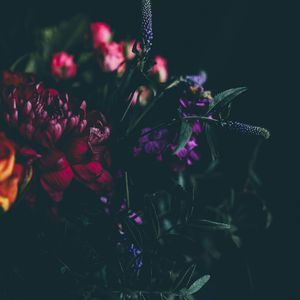 老去的年轮如同脸上的皱纹