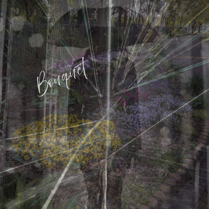 花束 (feat. 知声)