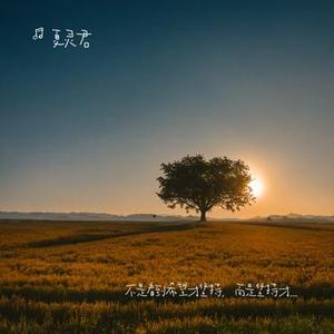 在你不考试的时候去读书在你不缺钱的时候去挣钱