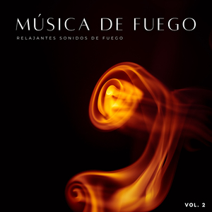 Sonido De Fuego Consumidor