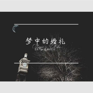 梦中的婚礼