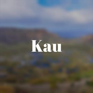 Nonfunctional Penchant