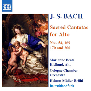 Gott soll allein mein Herze haben, BWV 169:Sinfonia