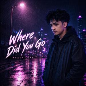 Where Did You Go