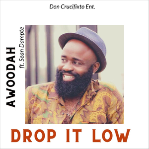 Drop It Low (feat. Sean Dampte)