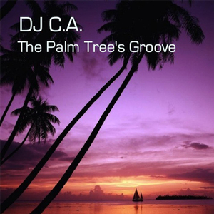 The Palm Tree's Groove