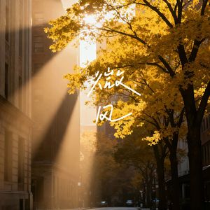 微风（鸟叫治愈版）