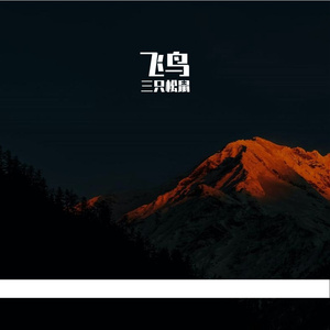 飞鸟-整曲