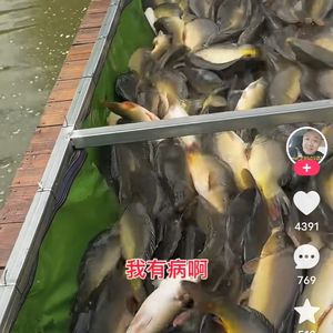 往来