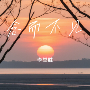 念而不见