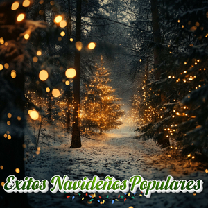 Música para una Navidad Luminosa