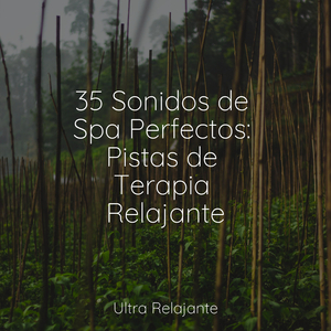 Nosotros Somos Los Únicos