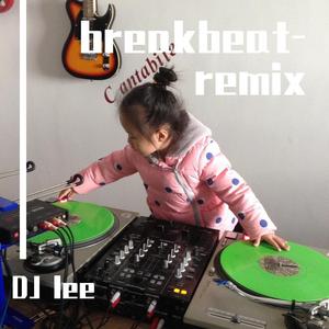 Sean Kingston-beautiful girl（DJ lee remix）