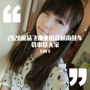 2020极品飞曲重低音越南鼓车载串烧大碟