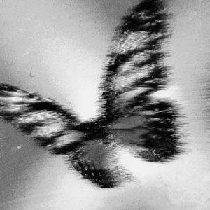 [FREE] Trap Type Beat "Butterfly"