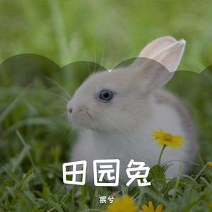田园兔 (3)