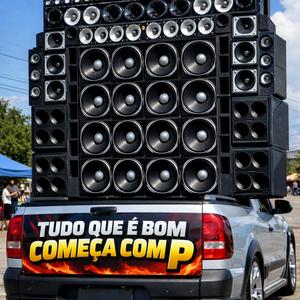 tudo que e bom começa com p