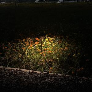 black brown（ClaireAnke remix）