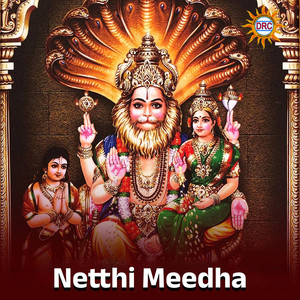 Netthi Meedha